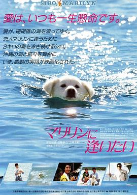 想见玛丽琳(大结局)