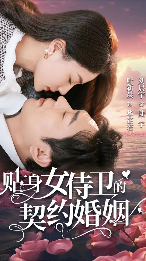 贴身女侍卫的契约婚姻 第114集