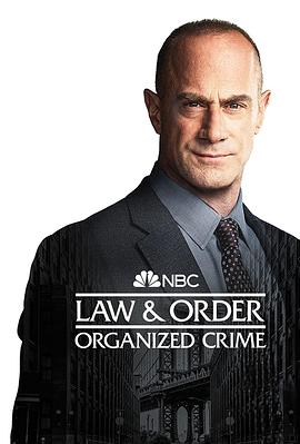 法律与秩序：组织犯罪 第三季 第14集