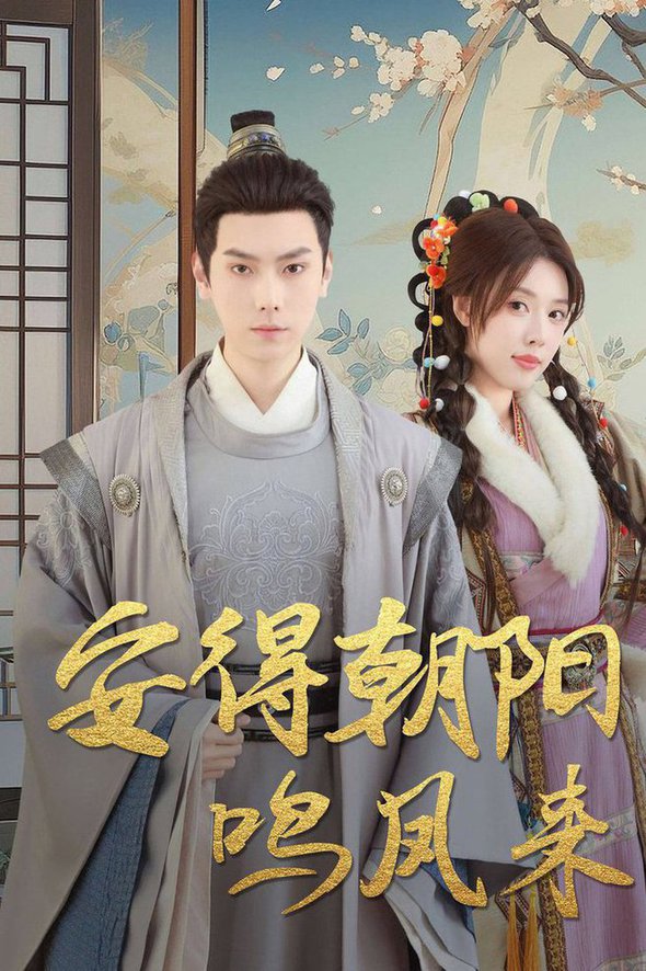 安得朝阳鸣凤来 云鬓绾山河 第01-32集(大结局)