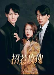 招惹玫瑰(全集)