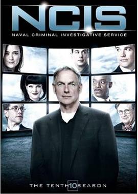 海军罪案调查处第十季 第17集