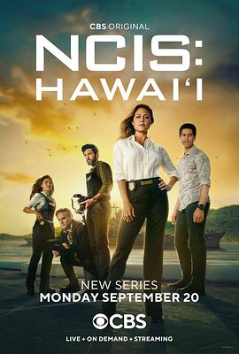海军罪案调查处夏威夷第一季 第11集