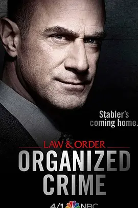 法律与秩序组织犯罪第一季 第1集