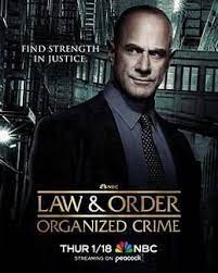 法律与秩序：组织犯罪 第四季 4
