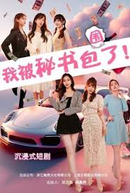 我被秘书包围了 第03集