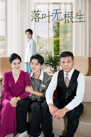 落叶无根生 第02集