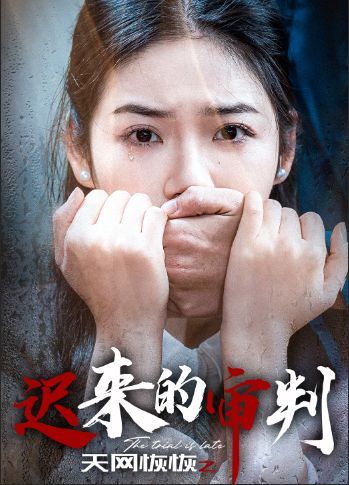 天网恢恢之迟来的审判 第01-31集(大结局)
