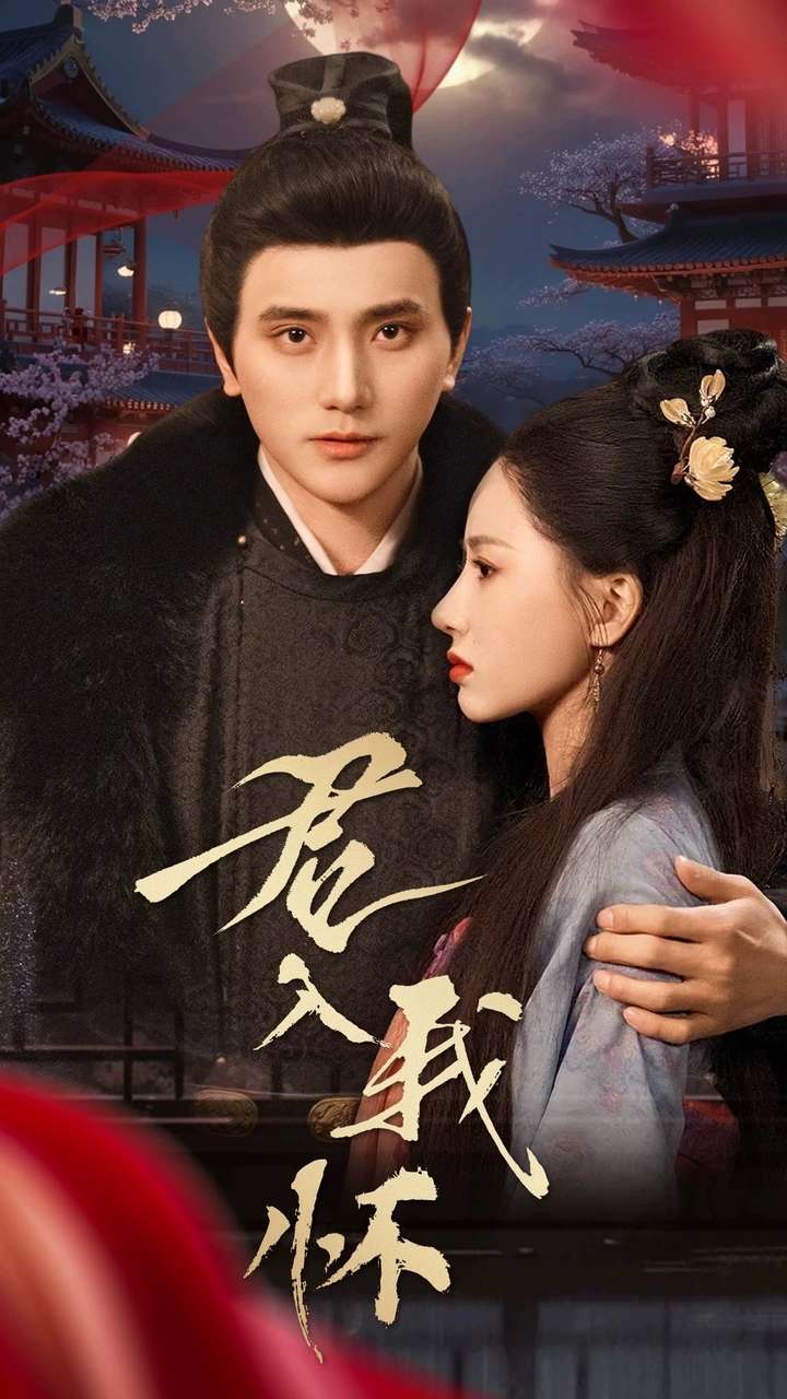 君入我怀 第01-30集