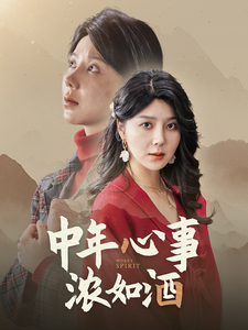 中年心事浓如酒 第31-54集(大结局)