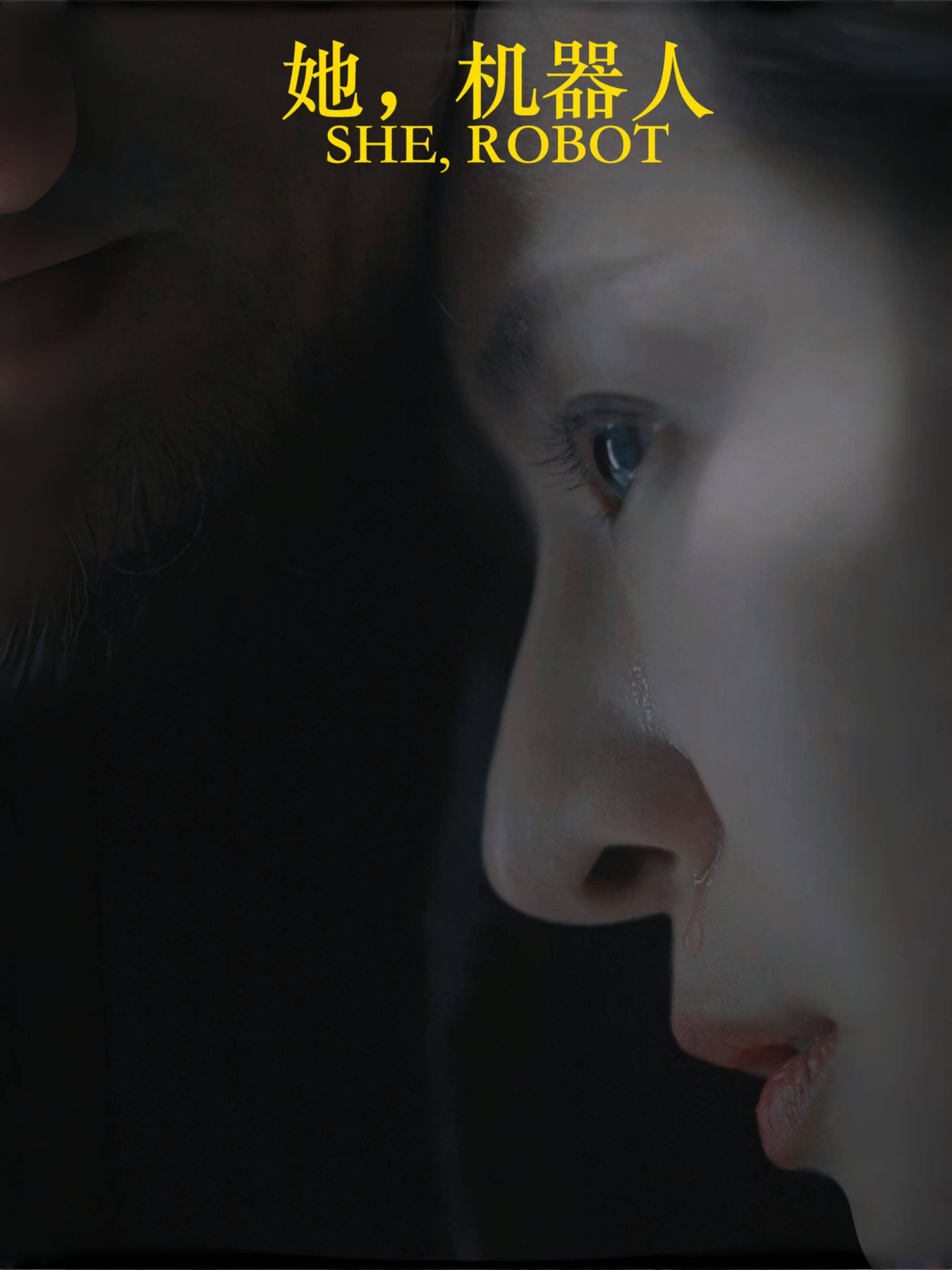 她，机器人 第01-23集(大结局)